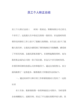 员工个人转正总结
