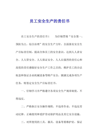 员工安全生产的责任书