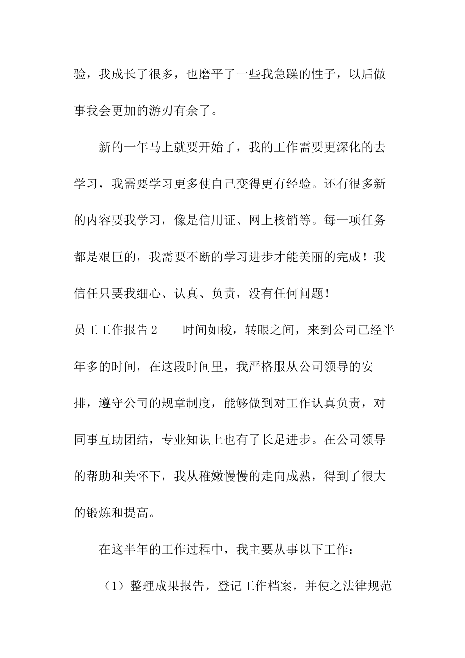 员工工作报告_第3页