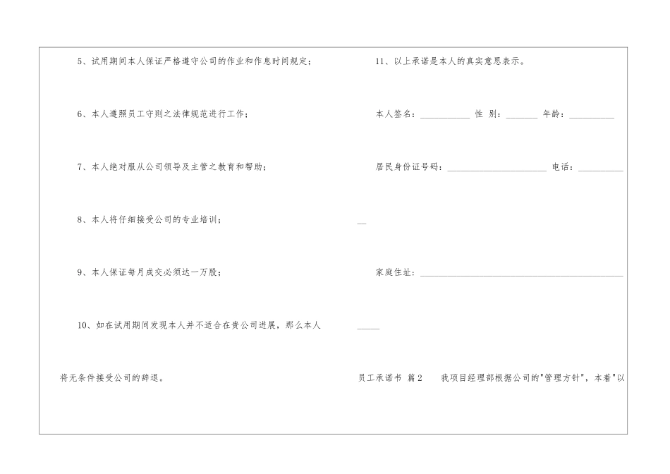 员工承诺书模板合集5篇_第2页