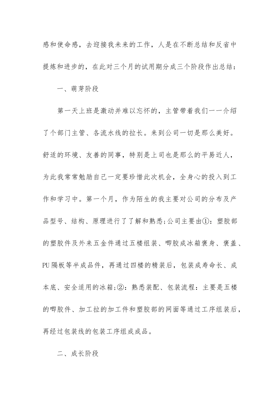 员工试用期个人总结3篇_第2页