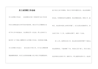 员工试用期工作总结