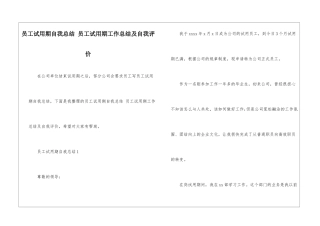 员工试用期自我总结-员工试用期工作总结及自我评价