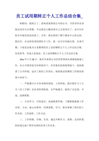 员工试用期转正个人工作总结合集
