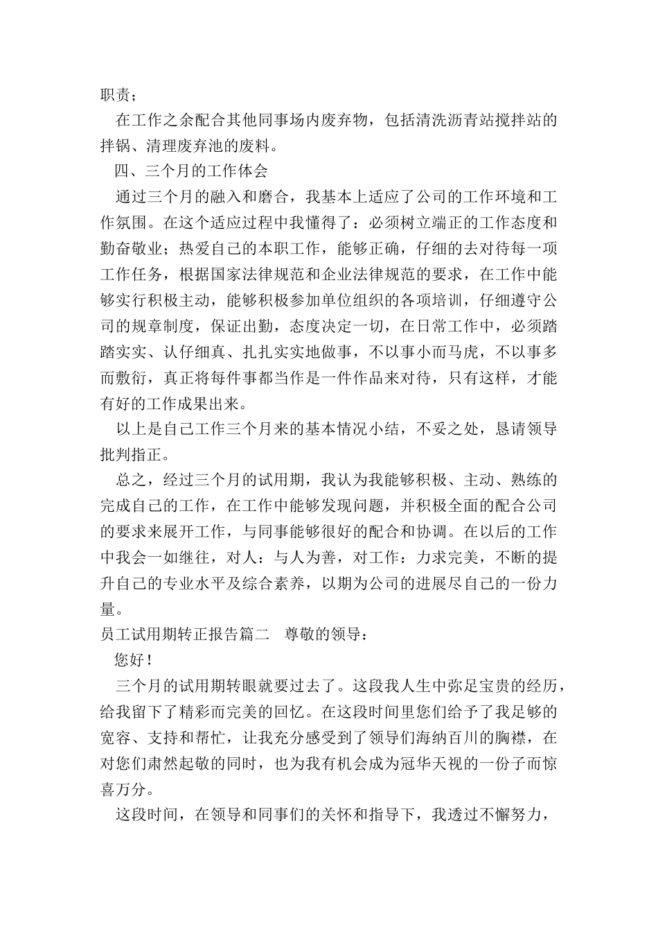 员工试用期转正报告_第2页