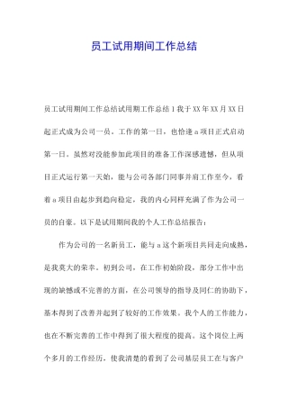 员工试用期间工作总结