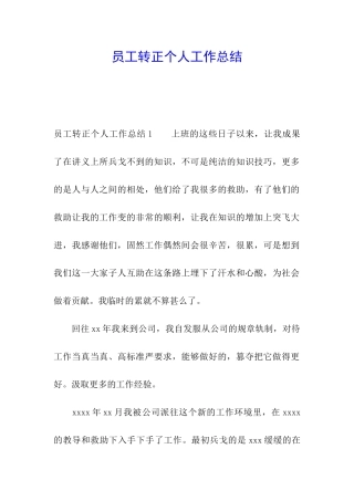 员工转正个人工作总结