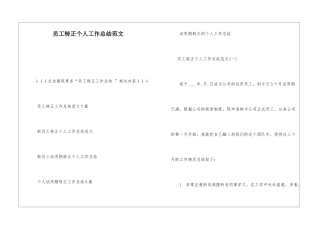 员工转正个人工作总结范文