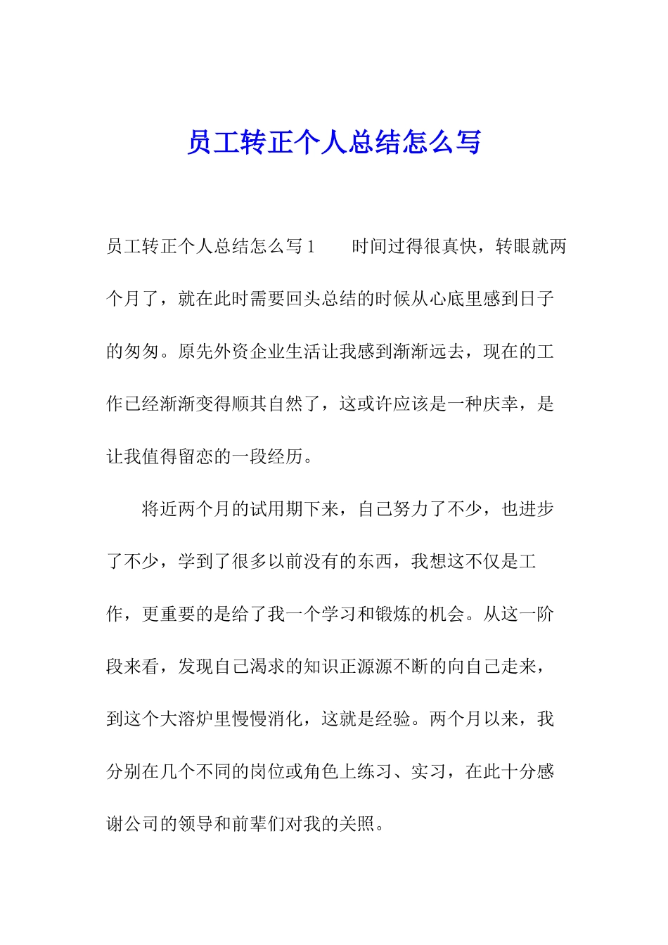员工转正个人总结怎么写_第1页