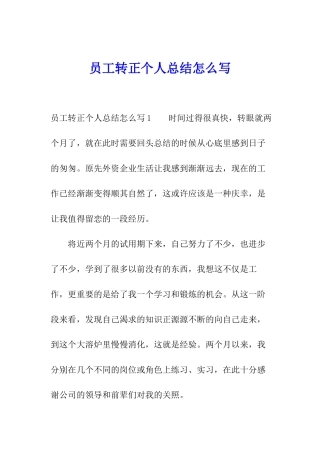 员工转正个人总结怎么写