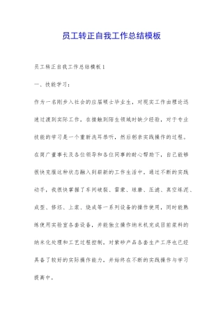 员工转正自我工作总结模板-