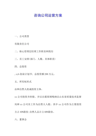 咨询公司运营方案