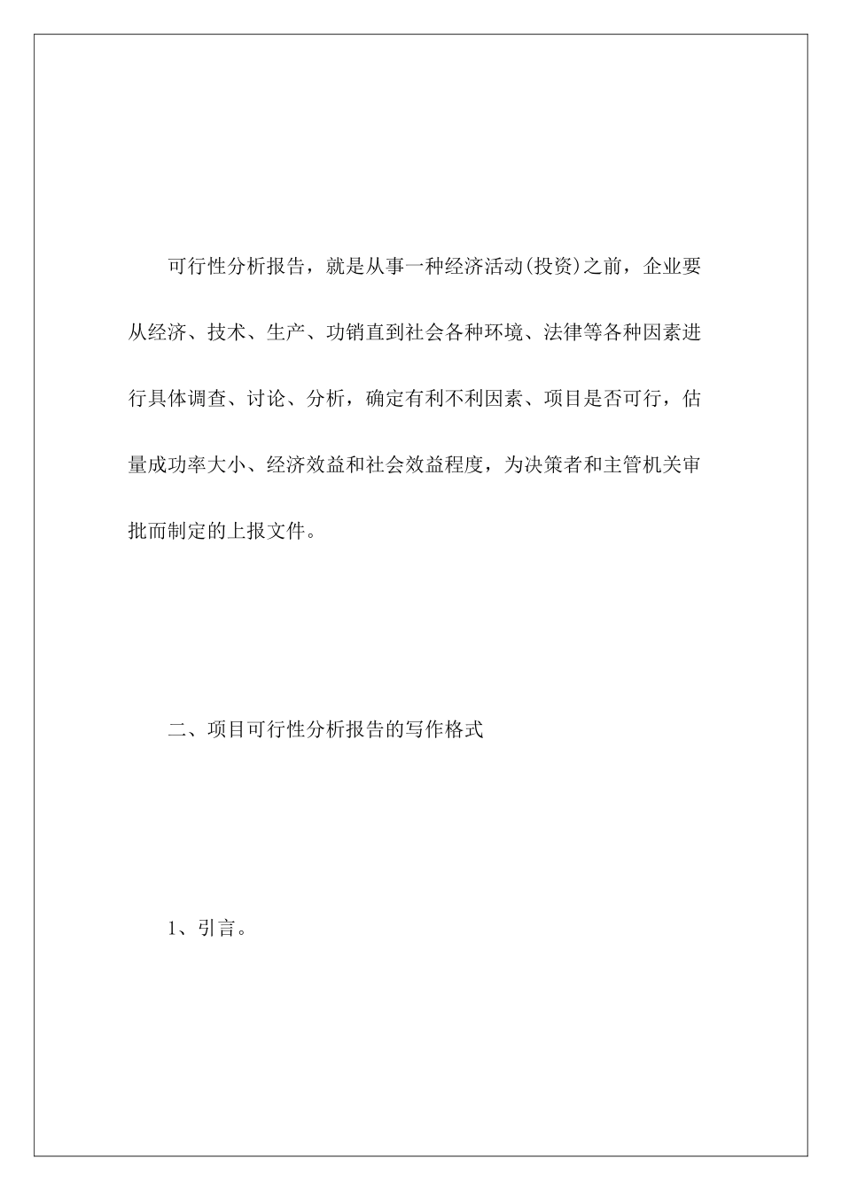 商业可行性报告模板_第3页