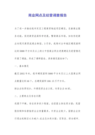 商业网点及经营调查报告-