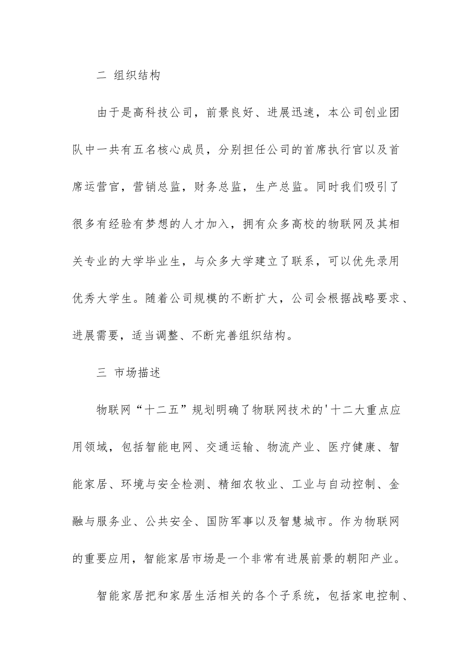 商业计划书的重点摘要_第2页