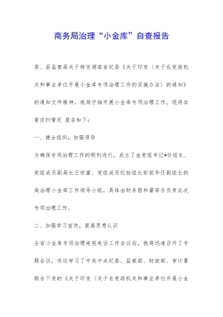 商务局治理“小金库”自查报告-