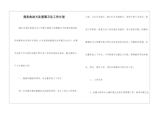 商务执法大队爱国卫生工作计划