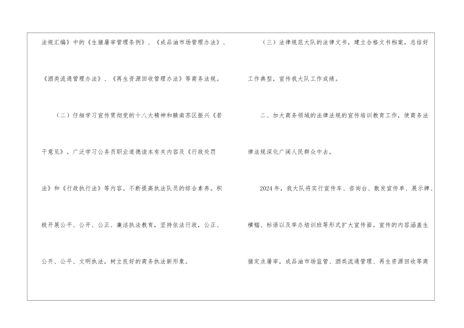 商务执法大队2024年工作思路_第2页