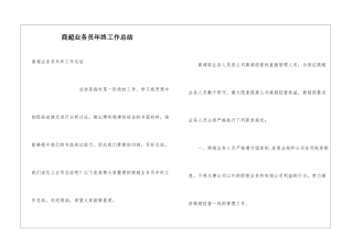 商超业务员年终工作总结