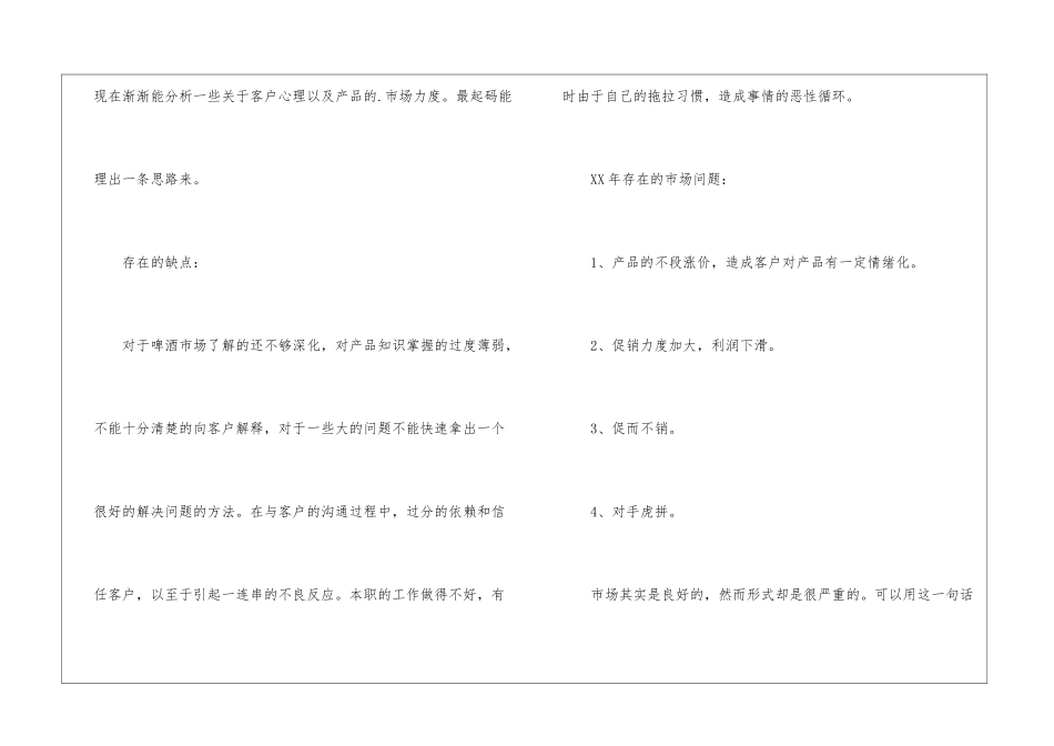 啤酒市场销售年终工作总结_第2页
