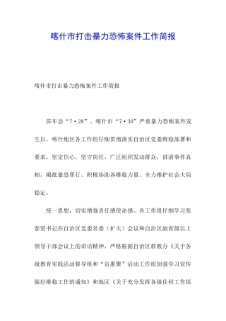 喀什市打击暴力恐怖案件工作简报