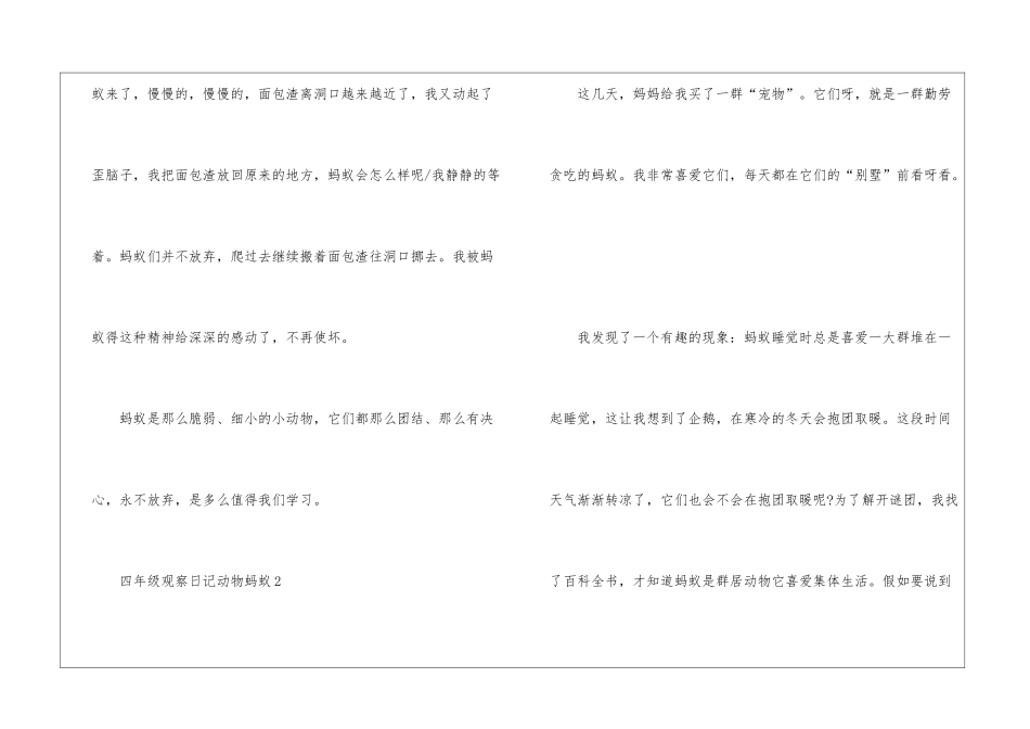 四年级观察日记作文动物蚂蚁12篇_第2页