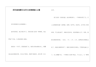 四年级观察日记作文动物蚂蚁12篇