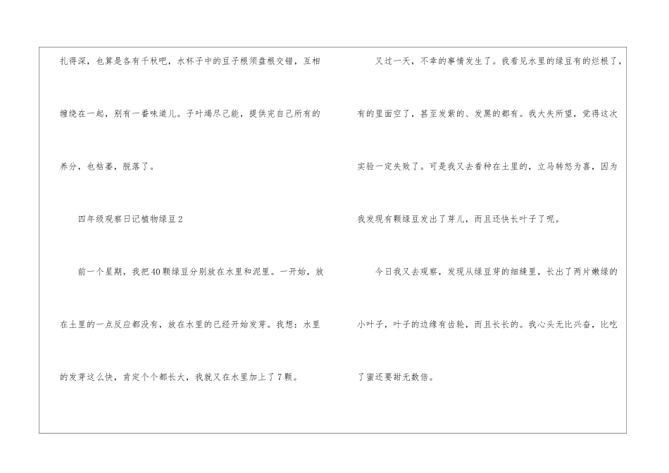 四年级观察日记作文植物绿豆11篇_第3页