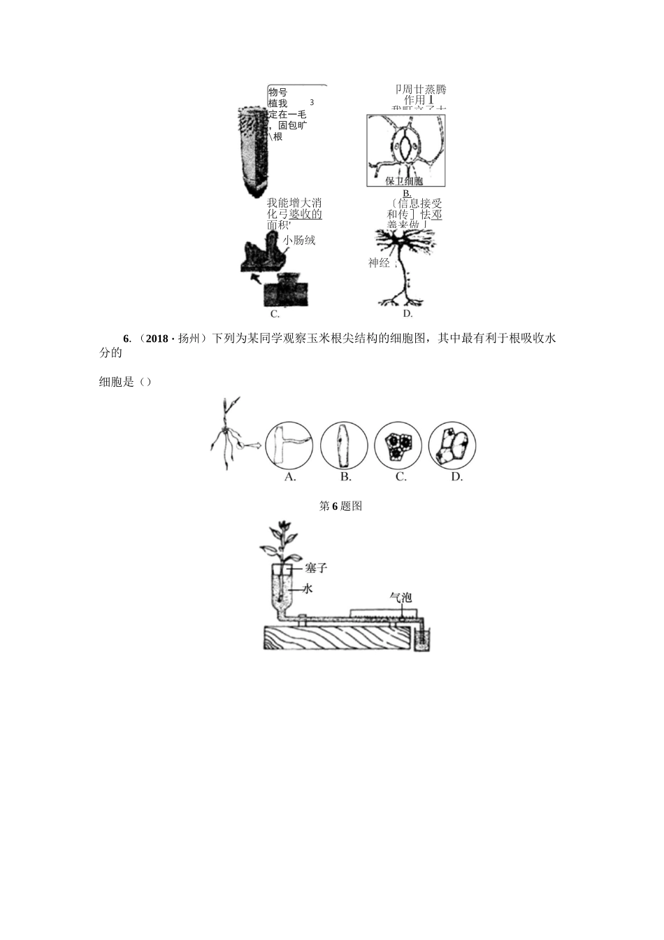 第4课时 无机盐和水对植物生长的作用_第2页