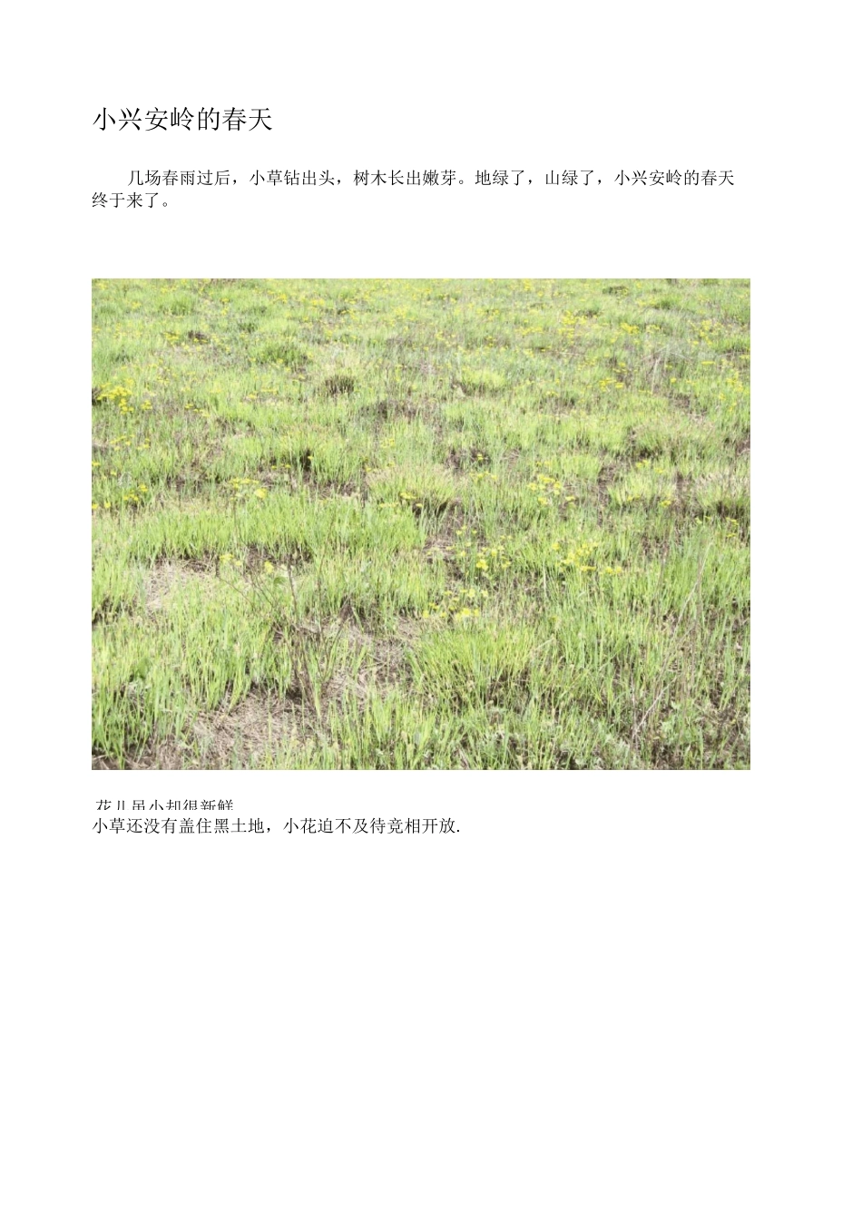 小兴安岭的春夏秋冬_第1页