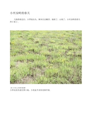 小兴安岭的春夏秋冬