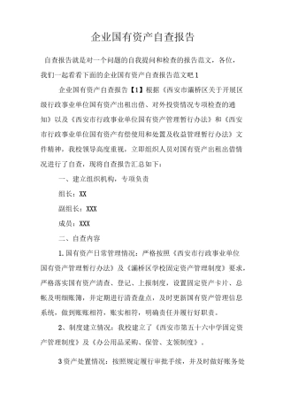 企业国有资产自查报告