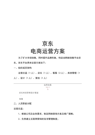京东电商运营方案计划