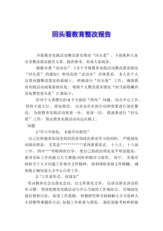 回头看教育整改报告