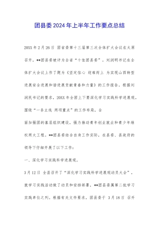 团县委2024年上半年工作要点总结-