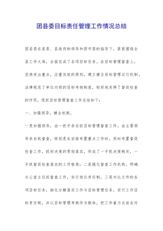 团县委目标责任管理工作情况总结-