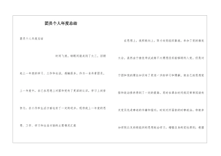 团员个人年度总结
