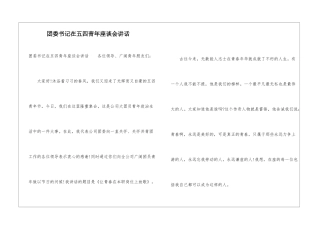 团委书记在五四青年座谈会讲话