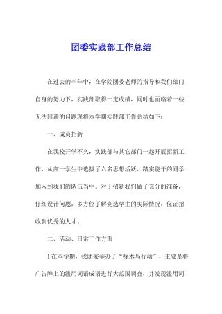 团委实践部工作总结