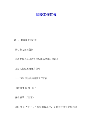 团委工作汇报