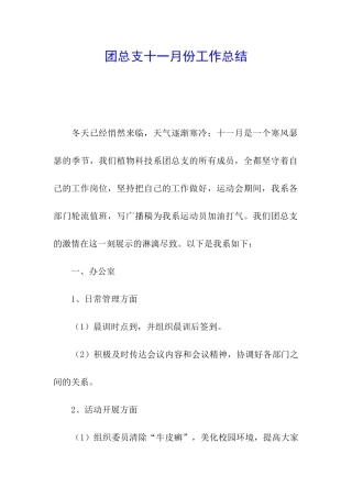 团总支十一月份工作总结