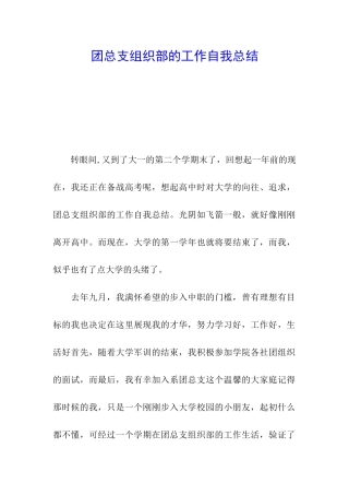 团总支组织部的工作自我总结
