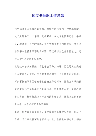 团支书任职工作总结-