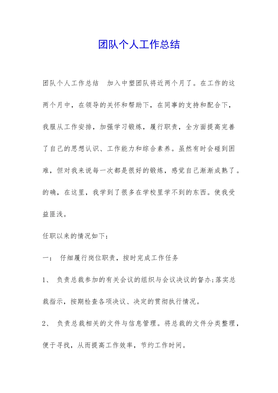 团队个人工作总结-_第1页