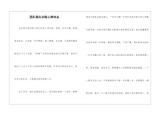 团队强化训练心得体会