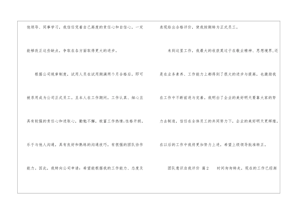 团队意识自我评价_第3页