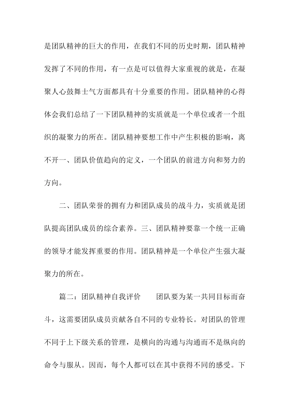 团队精神自我评价_第2页