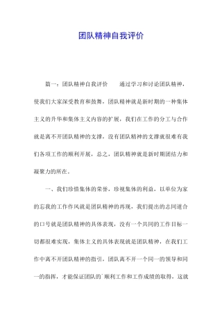 团队精神自我评价