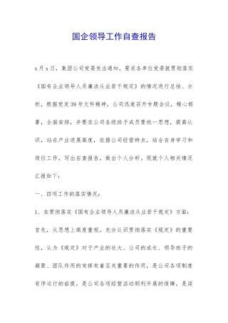 国企领导工作自查报告-