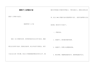 国培个人研修计划